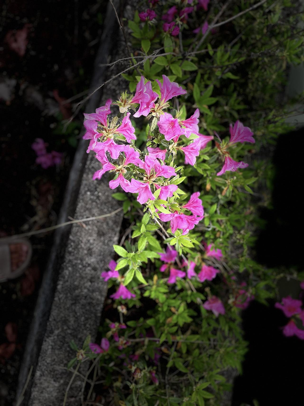 摄影是一门技术，很喜欢摄影，别人拍照片都是很好看，我也想学习这门技术。