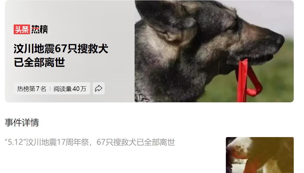 汶川地震“67只搜救犬已全离世”共定位206名被埋压者，看搜救犬这些图片画面，看