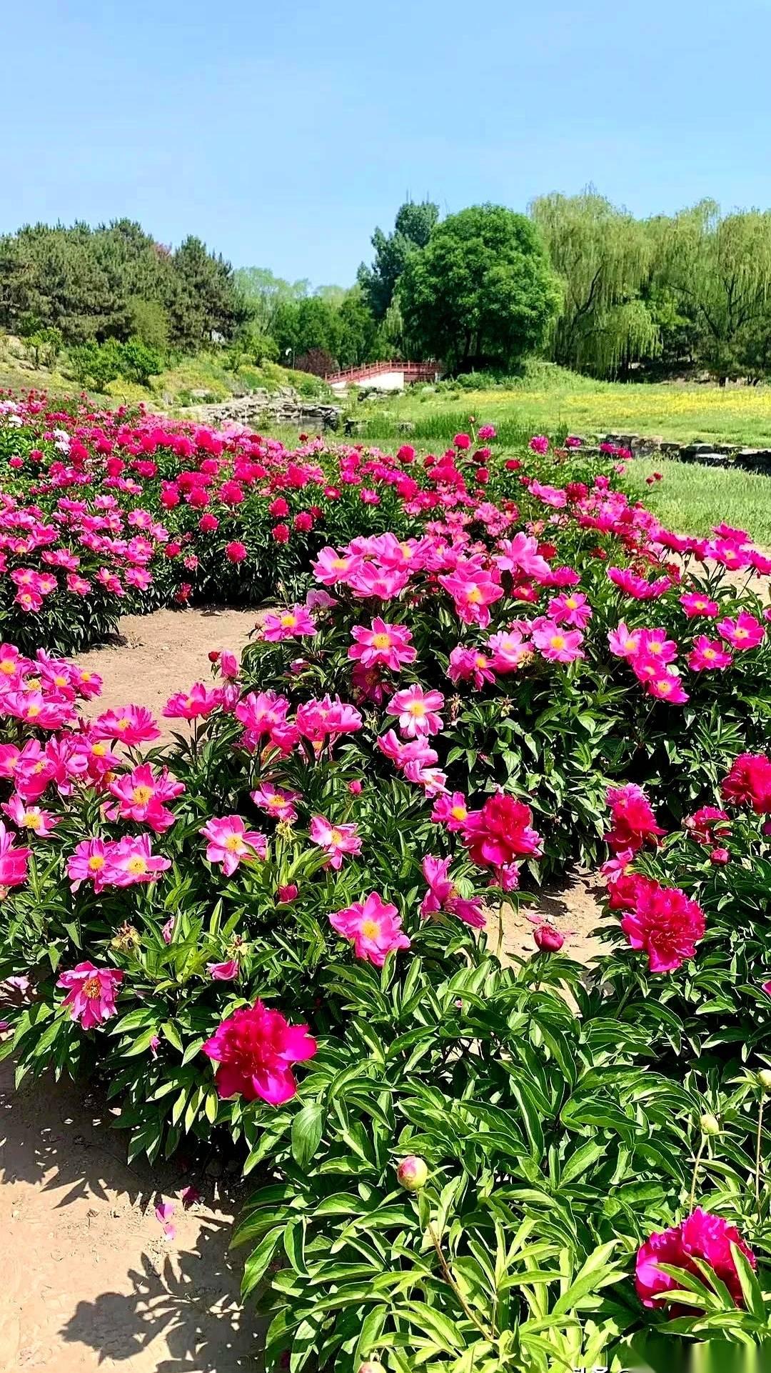 有些专业，听名字，感觉一脚已经踏进了体制内，光宗耀祖。比如那个“公共事业管理”