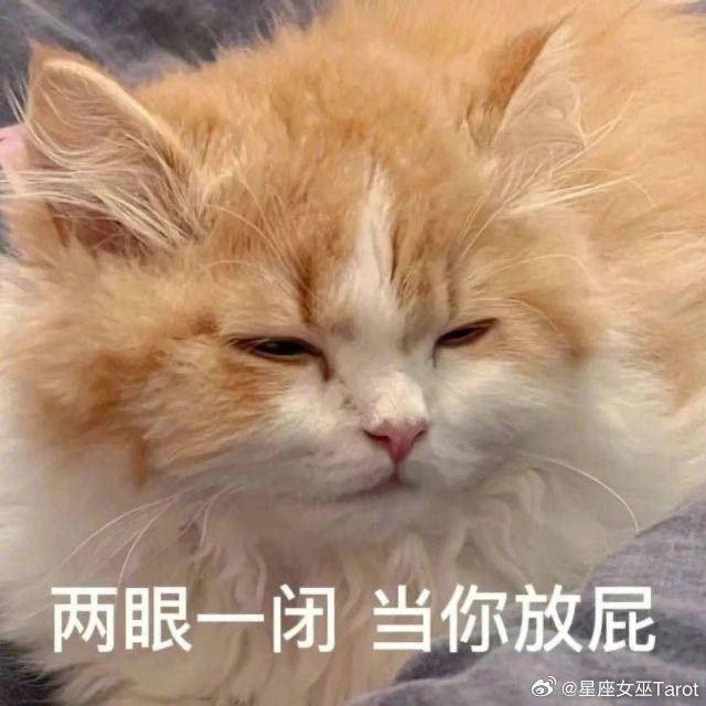 十二星座发现另一半撒谎时……白羊：当场拆穿，声音大到隔壁桌都听见金牛：不拆穿，默