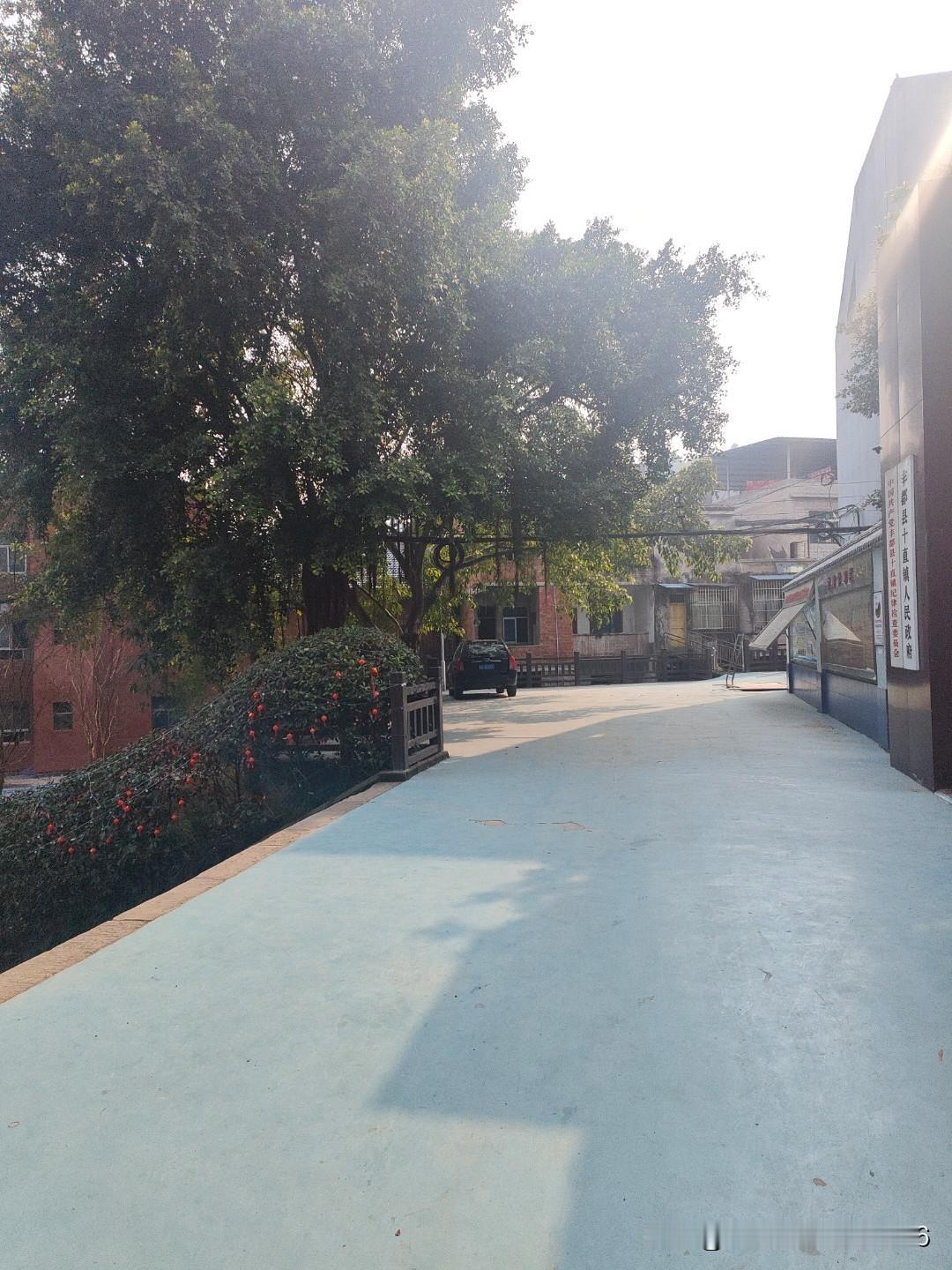 未来农村发展的希望，我觉得有几个关键方向。首先是土地集约化种植，因地制宜发展经