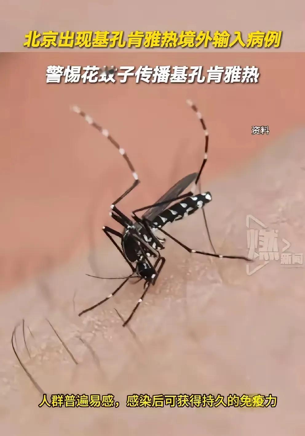 我有一个好朋友在广东打工，他今晚给我打电话，有气无力的说：他确诊了基孔肯雅热病。