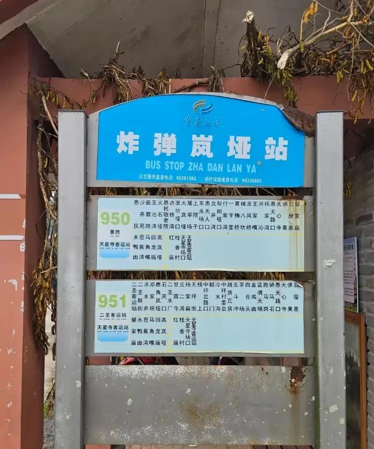 重庆巴南区有一个名为“炸弹岚垭”的公交站引发了关注，官方表示地名的来历与抗战时期