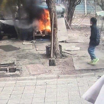 近日江苏连云港的这场“萨摩耶被烧死”事件，彻底刺痛了很多养宠人和普通人的神经。监