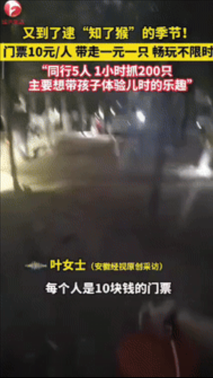 “赚大发了！”江苏徐州，一老板对外开放自家“知了猴”养殖场，门票10元1人，畅玩