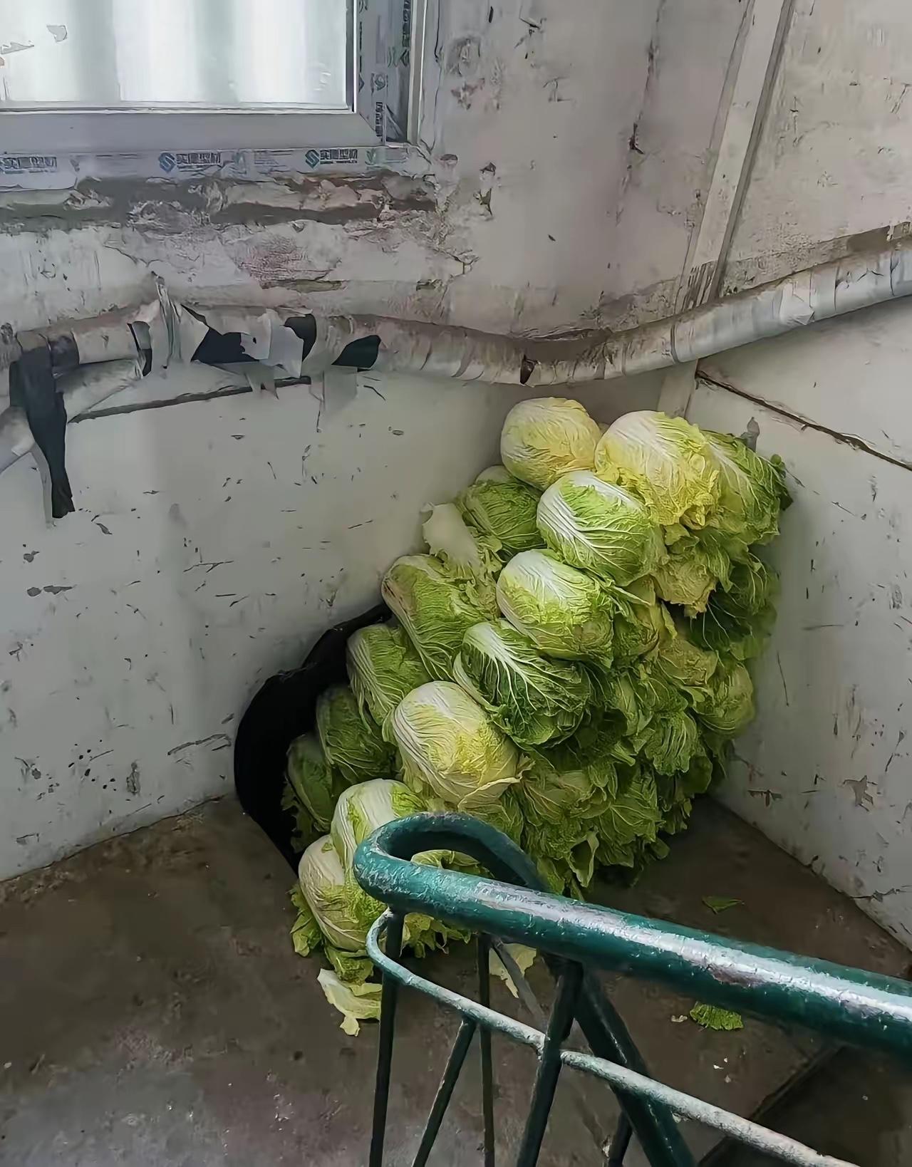 今天跟邻居吵起来了！我家囤了几十颗大白菜，放楼道靠墙边，根本没碍着别人。中午邻
