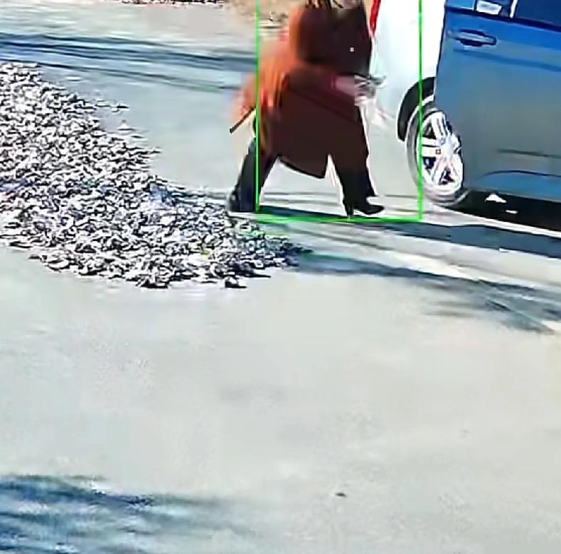 很多村民甚至是邻居，有的时候做出的事情真的无法理解安徽滁州，一位村民看见天气挺