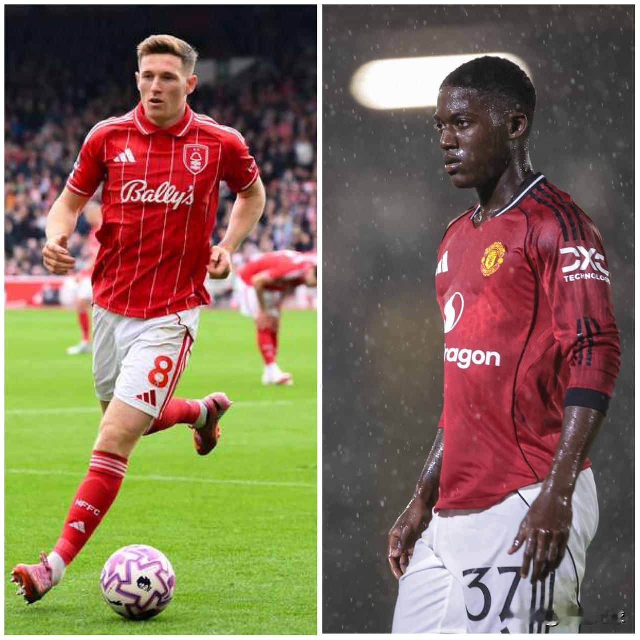 如果曼联真想根治中场问题，而不是每个夏天修修补补，那么一月份全力引进安杰洛·斯蒂