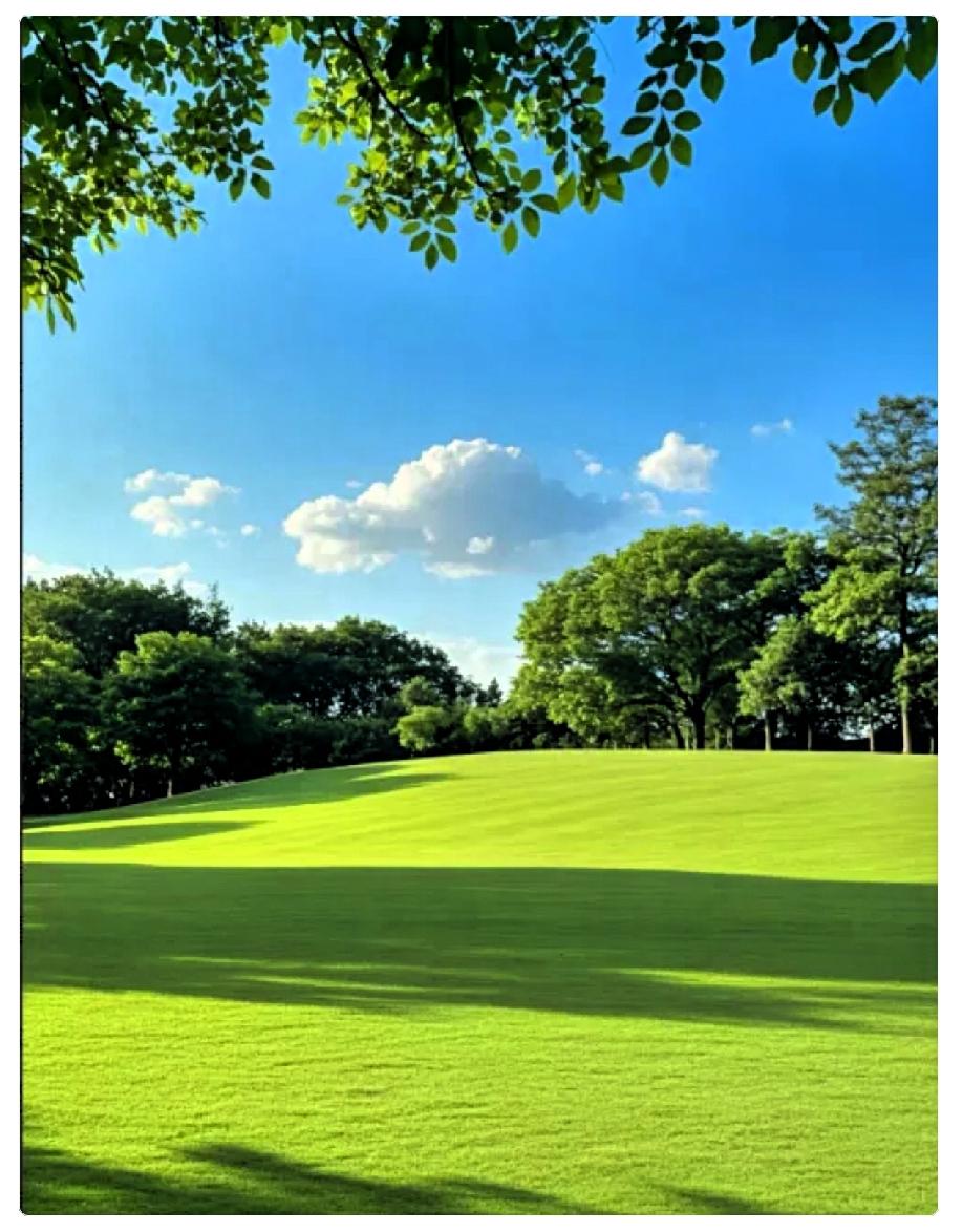 我真搞不懂退休男人。我哥今年61岁，退休金8800块钱，家里还有房租，可是他