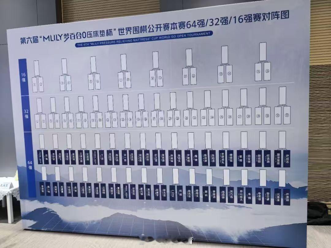 8月14日晚，第六届梦百合杯世界围棋公开赛本赛开幕式暨抽签仪式在中国棋...