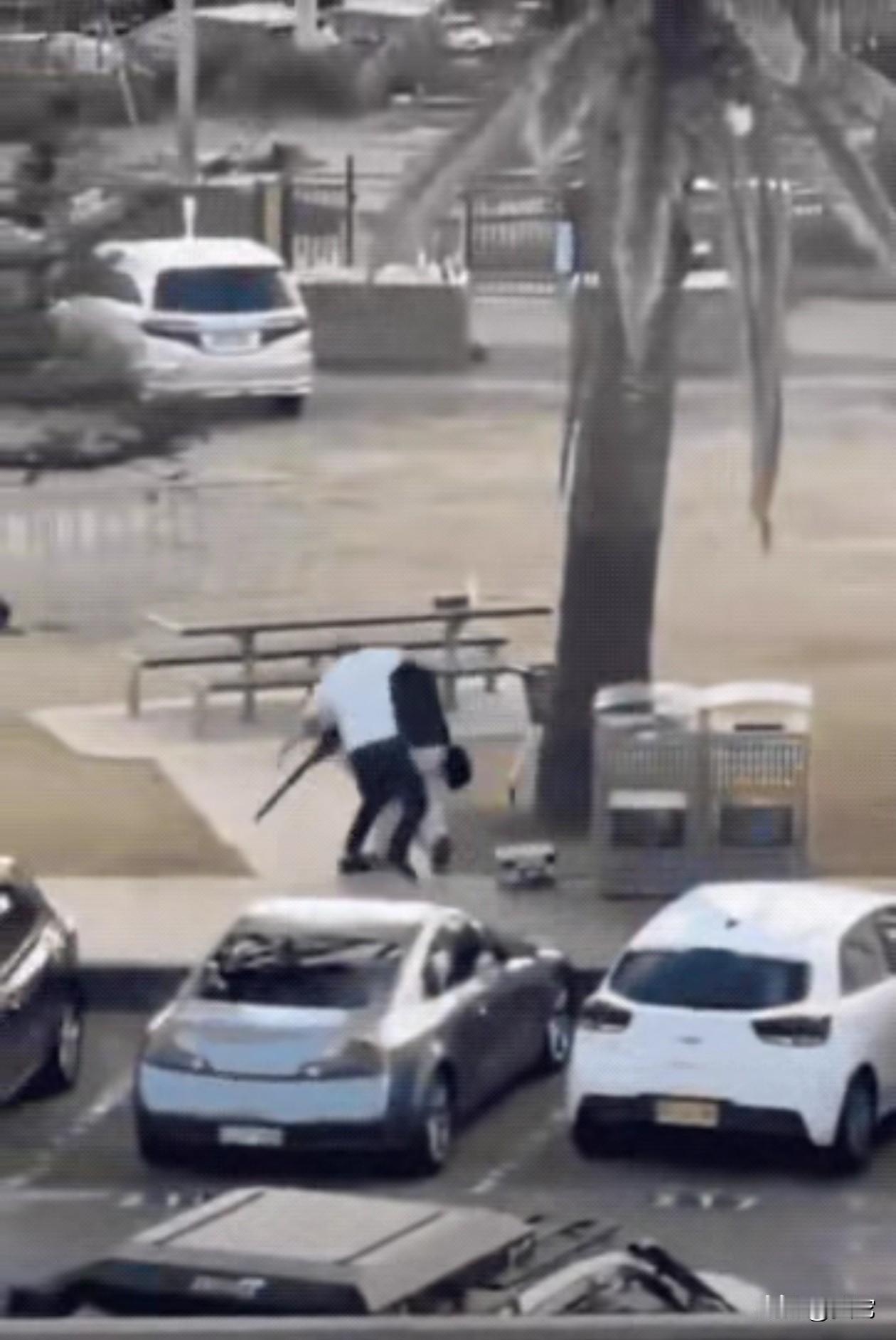 坚决反对滥杀无辜！澳大利亚枪击事件中枪手和见义勇为夺枪的都是中东移民！很好奇西方