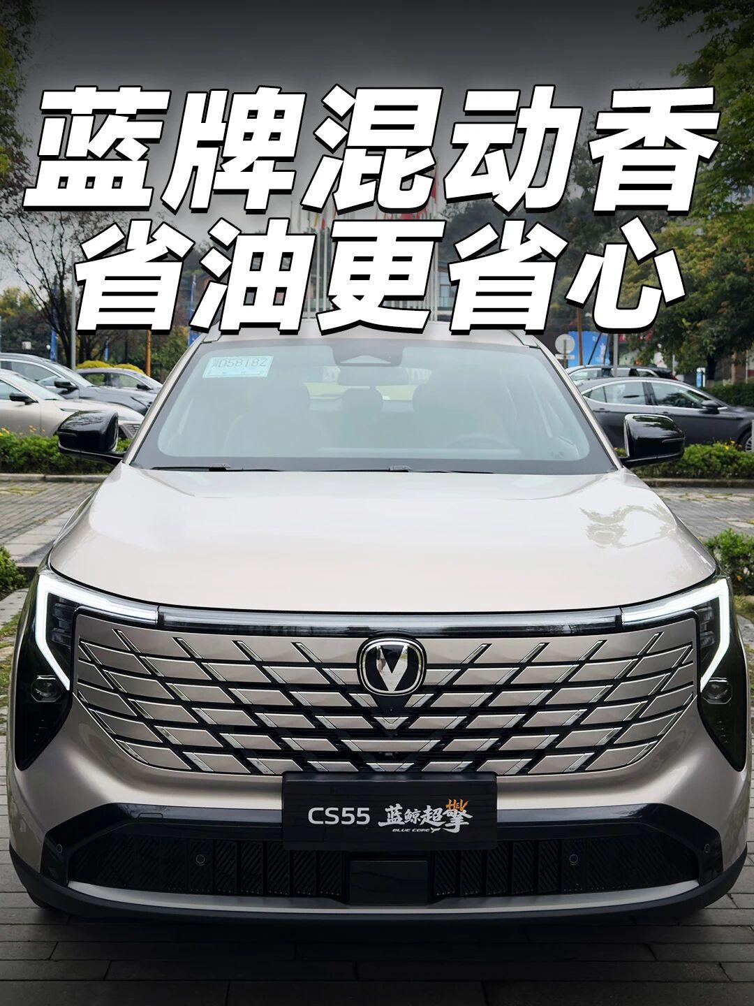 家用混动SUV首选，闭眼冲不用充电的混动黑科技，SUV的通过性+电车的驾乘感+燃