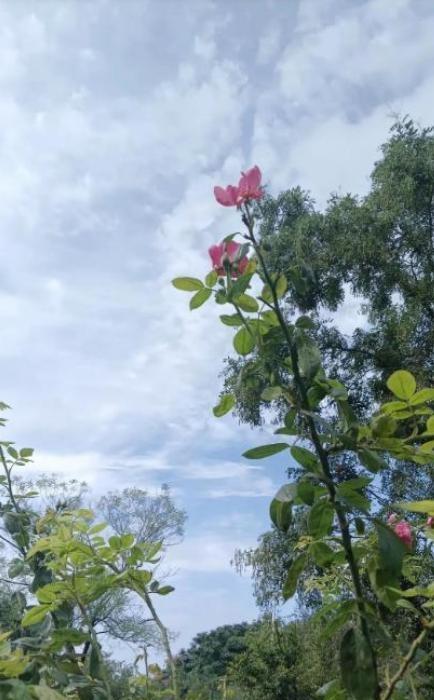 一男子因为妻子脾气太躁，干脆利落办了离婚，过了两年多，他在超市碰上了前岳母。婚后