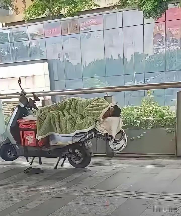 这么努力跑单，睡都睡在车上，绝对月入过万了