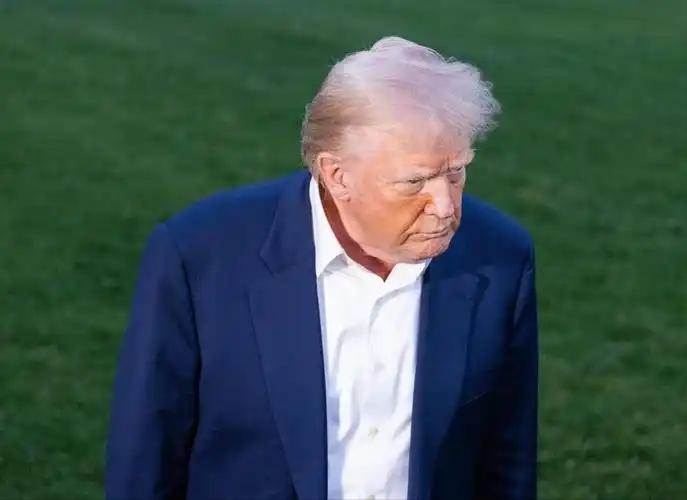 德国《商报》深度调查报道：特朗普