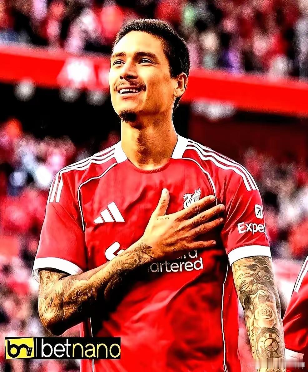 利物浦球迷，这波集体道歉是真破防了。当初嫌弃的努涅斯，在新东家8场6球2助攻，猛