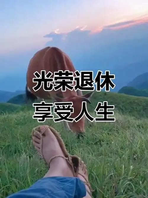 退休真的不是人生的终点，而是另一段美好生活的起点。很多人一退休就无所适从，要么天