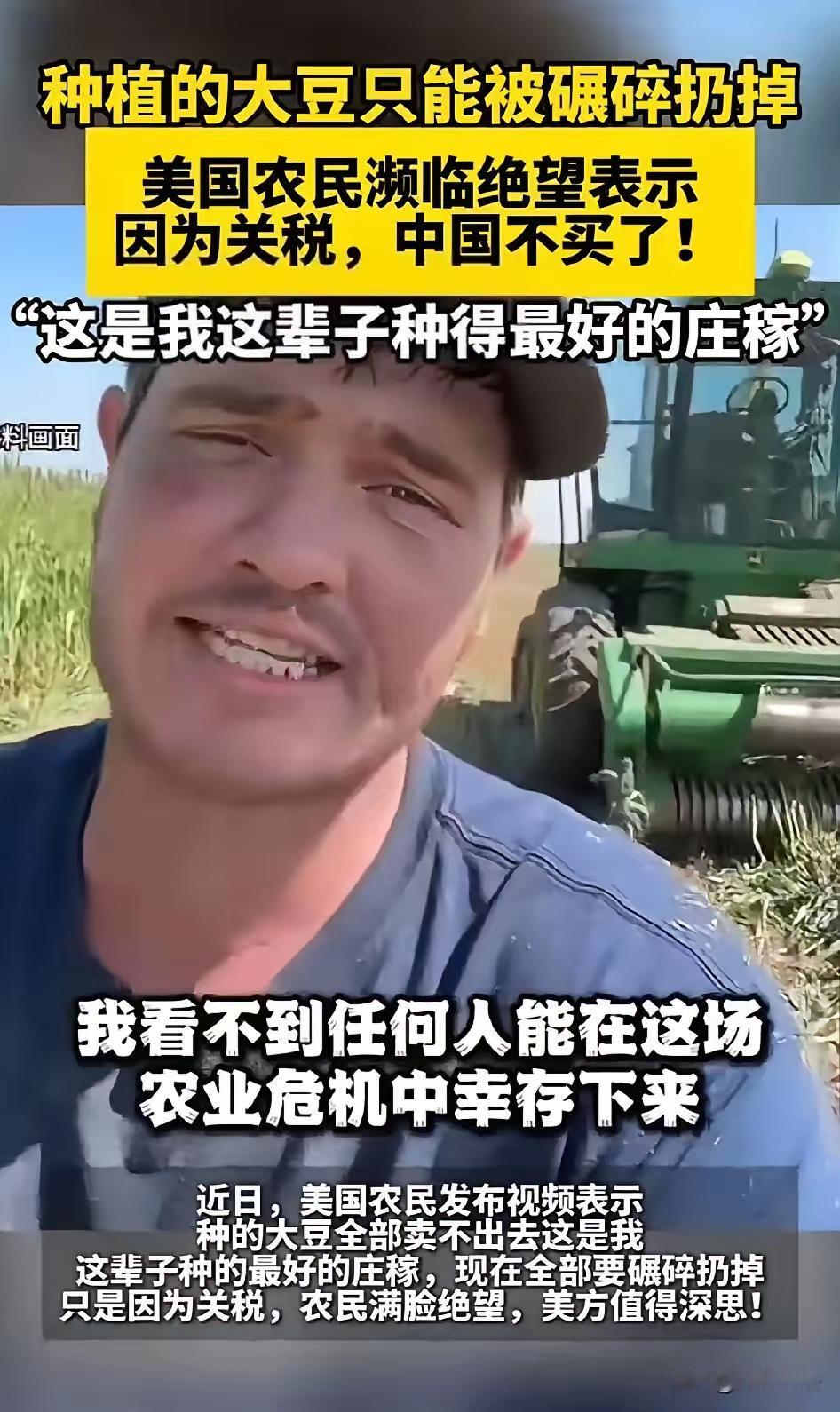 大豆滞销：中国三年前挖的坑，特朗普现在才看见美国豆农最近头大：仓库爆满，价格跳