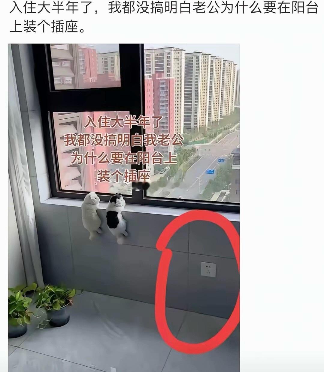 想了半天没想明白