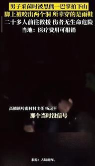 “不幸中的万幸！”9月23日，重庆一男子带着狗子上山采菌时，突然听到狗子狂叫，男