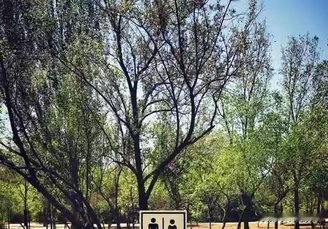 两性关系：女人要明白，男人无论多大年龄，都有这3个需求。做情感咨询这些年，