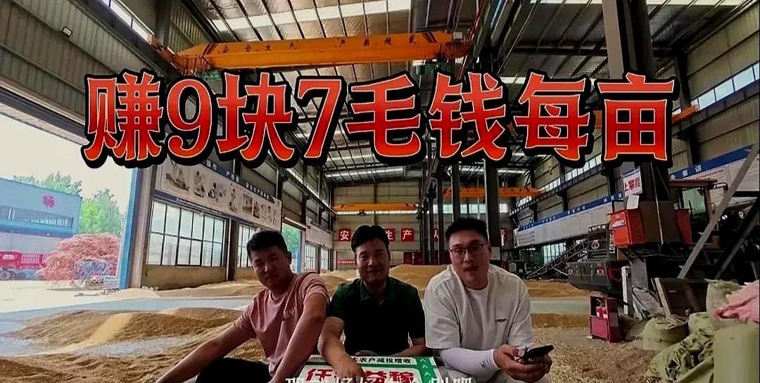三个85后青年种了2800亩小麦，打了274万斤麦子，每亩能赚多少钱？算完账我