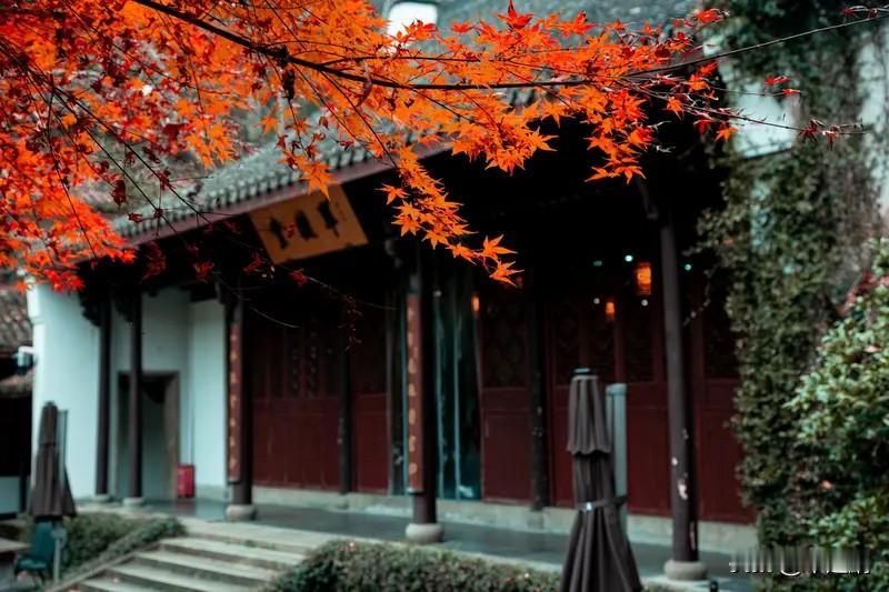 “抛开浮华与纷争，回归简单与宁静，是为大自在”，深以为然。弘一法师，前半生红尘炼