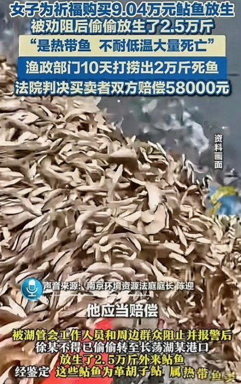 这下好了，积的福还没有造的孽多！江苏常州的徐女士花9万买2万多斤非洲热带鲶鱼