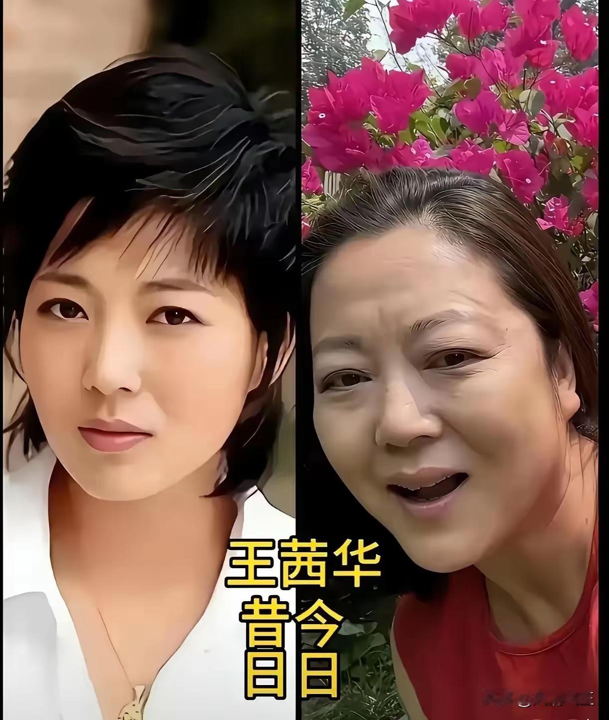 看鞠萍、陈小艺、姜黎黎、王茜华、傅艺伟、徐帆、赵静、陶慧敏这些女明星的今昔对比照