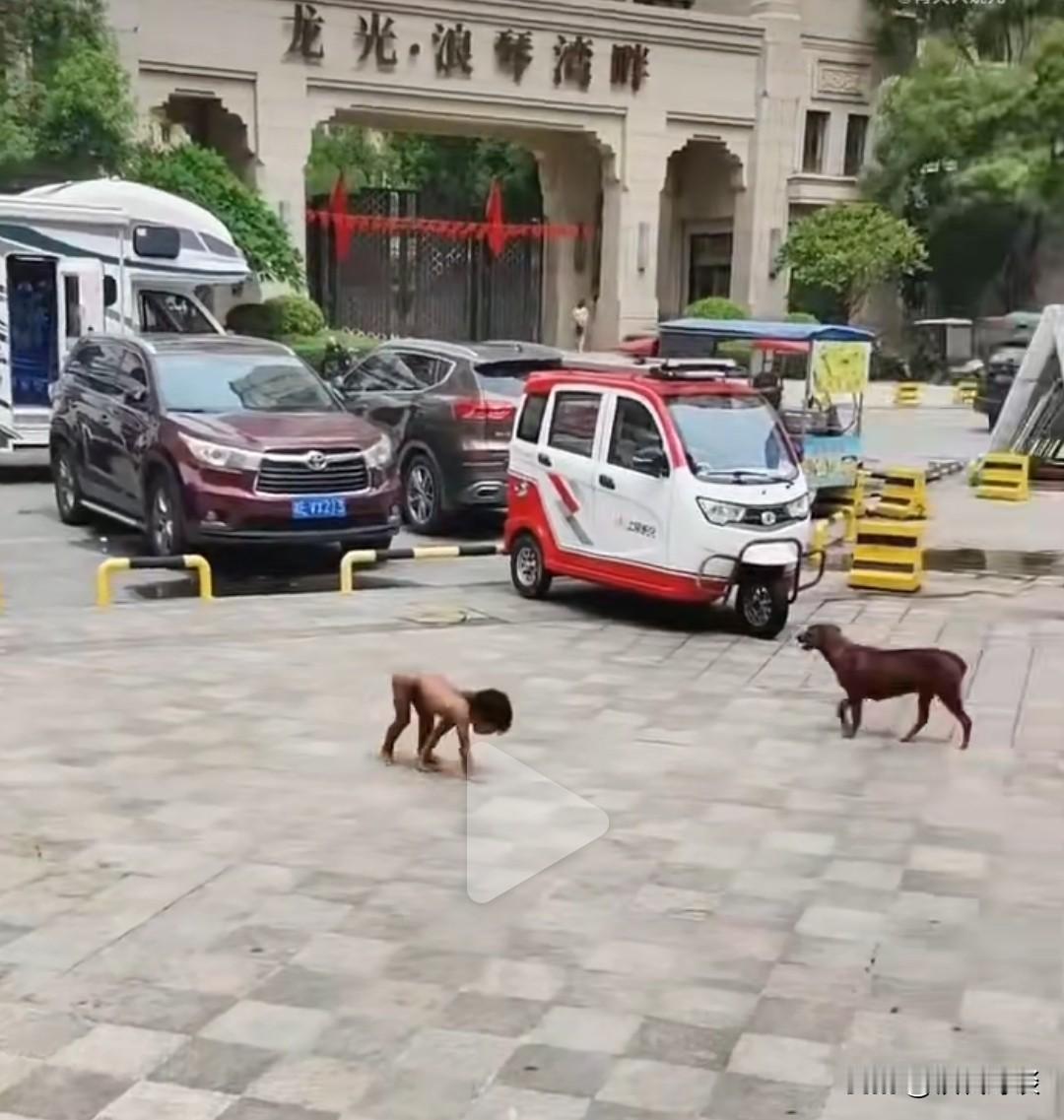 世界上真有这样的父母吗？受过高等教育的父母？把自己的孩子当野人养？还是另有隐情？