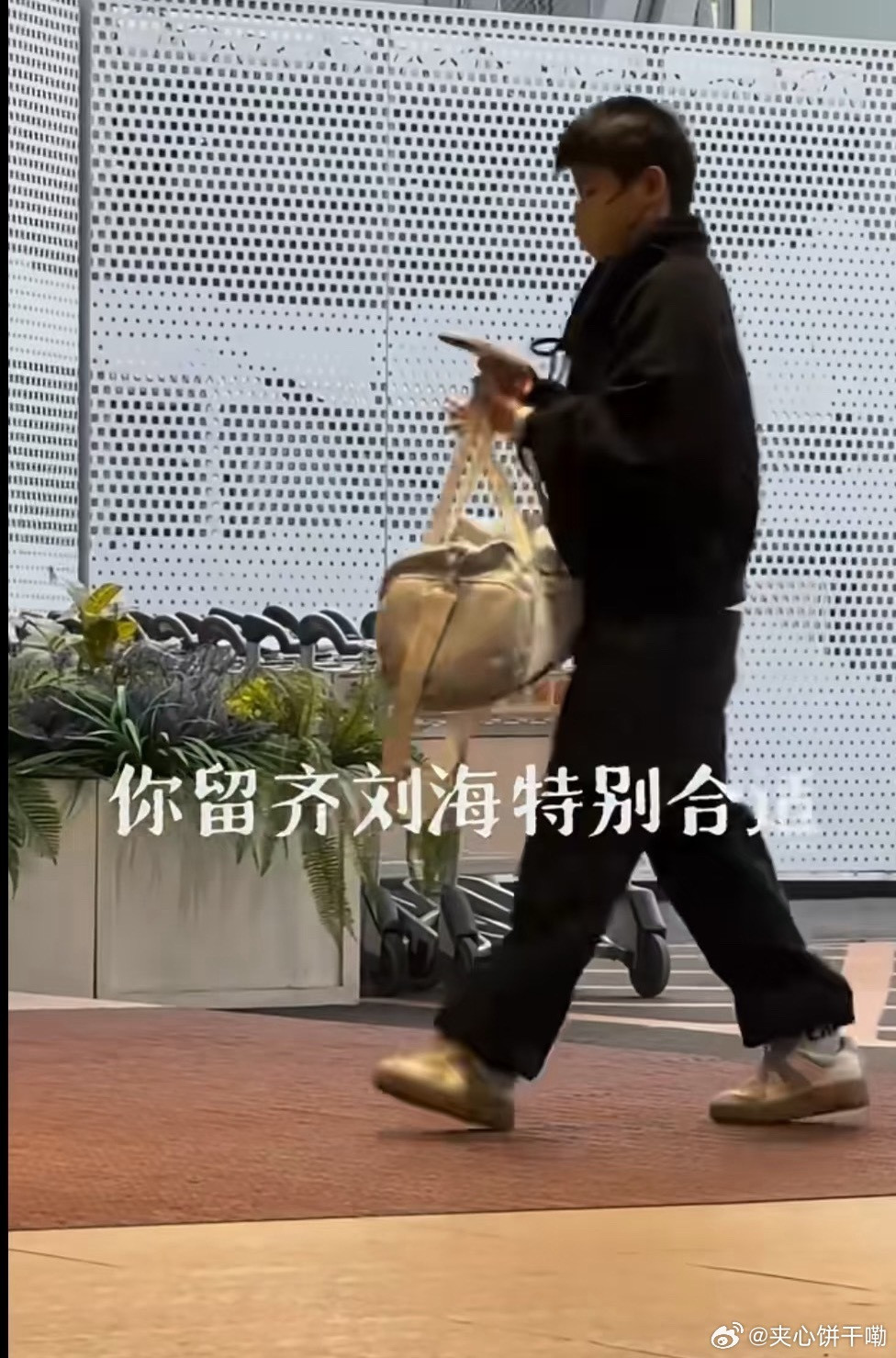 莎莎大头出发重庆啦～