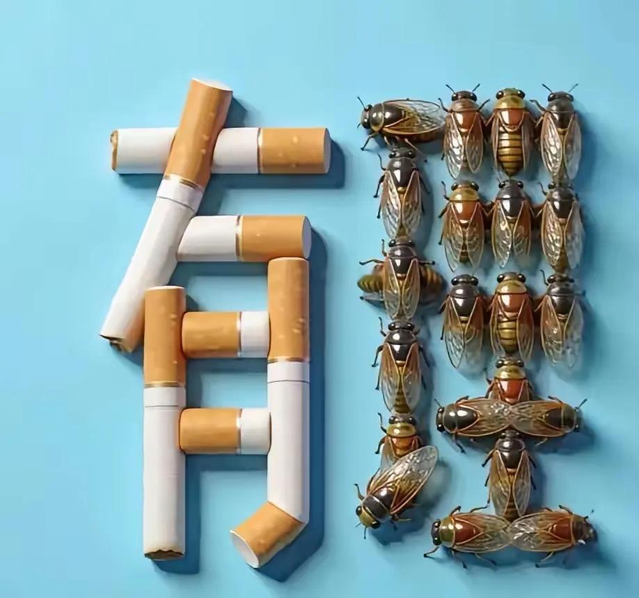 看图猜成语。“有”字由烟组成，“理”字由知了组成。老铁们，这样的组合是什么成语？