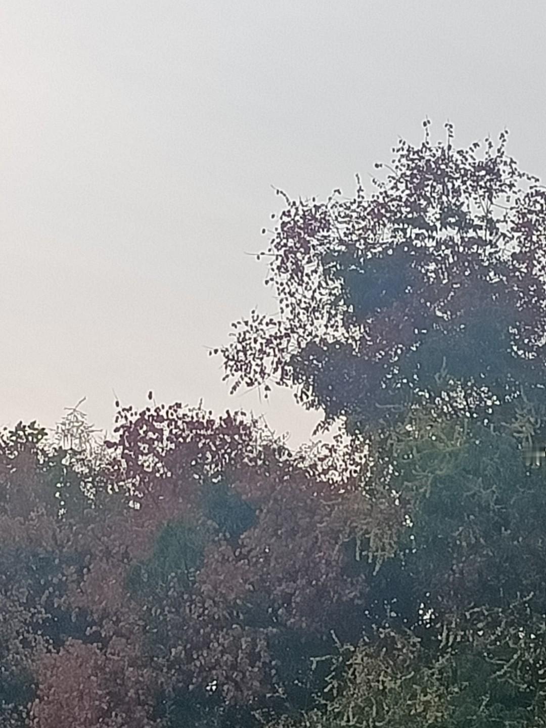 昨天退出了高中同学群，再也不当多嘴驴了！前几年微信热闹的时候，我加入了初中