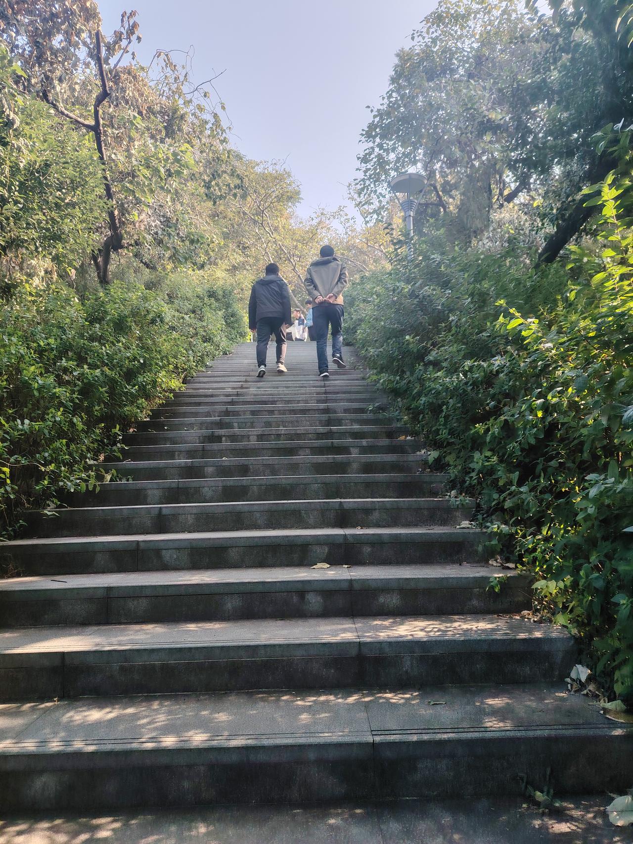 何山公园漫记晨雾如纱，轻笼着何山公园的轮廓。青石板路蜿蜒向上，两侧的香樟枝