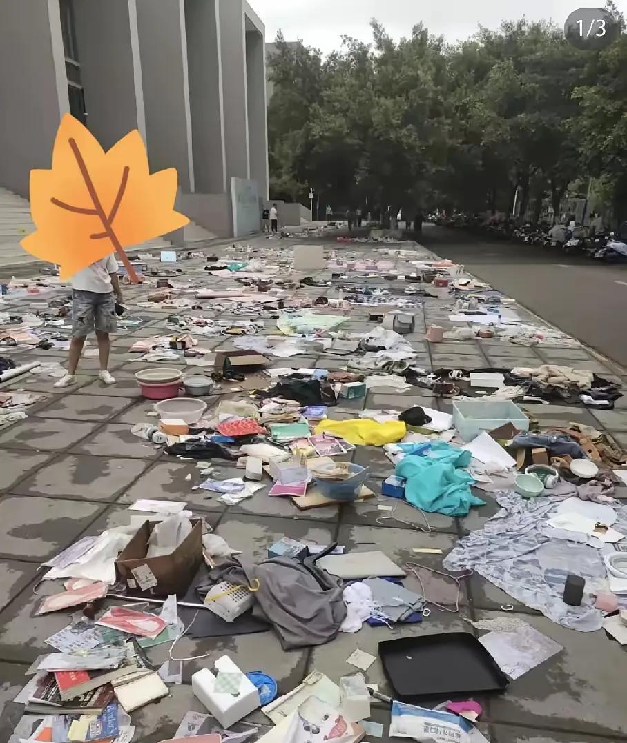 现在的大学不同过去的大学了，现在的学生也不同于过去的学生了，你看，毕业了，这琳琅