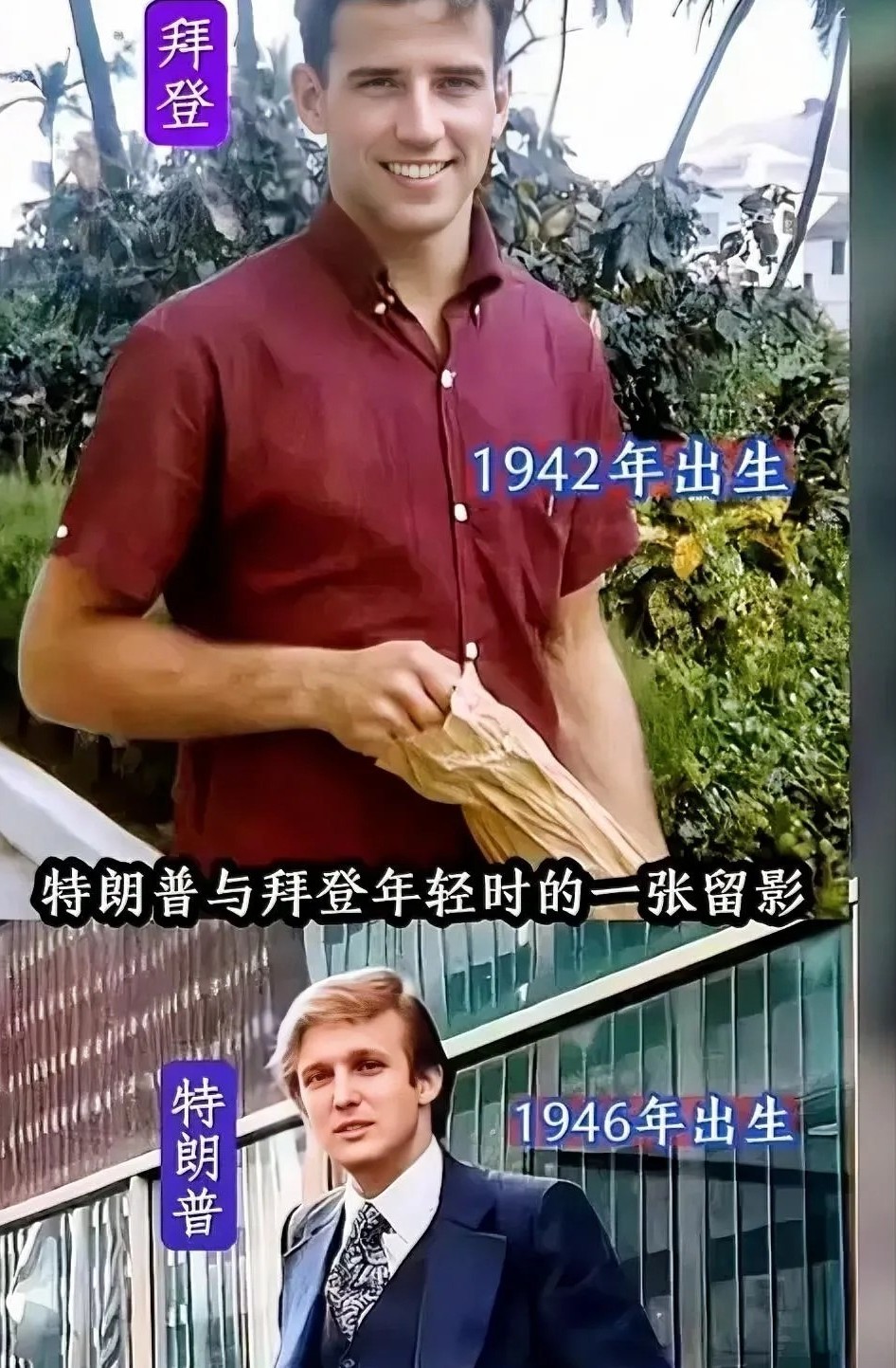 他们年轻时还真是挺帅的！