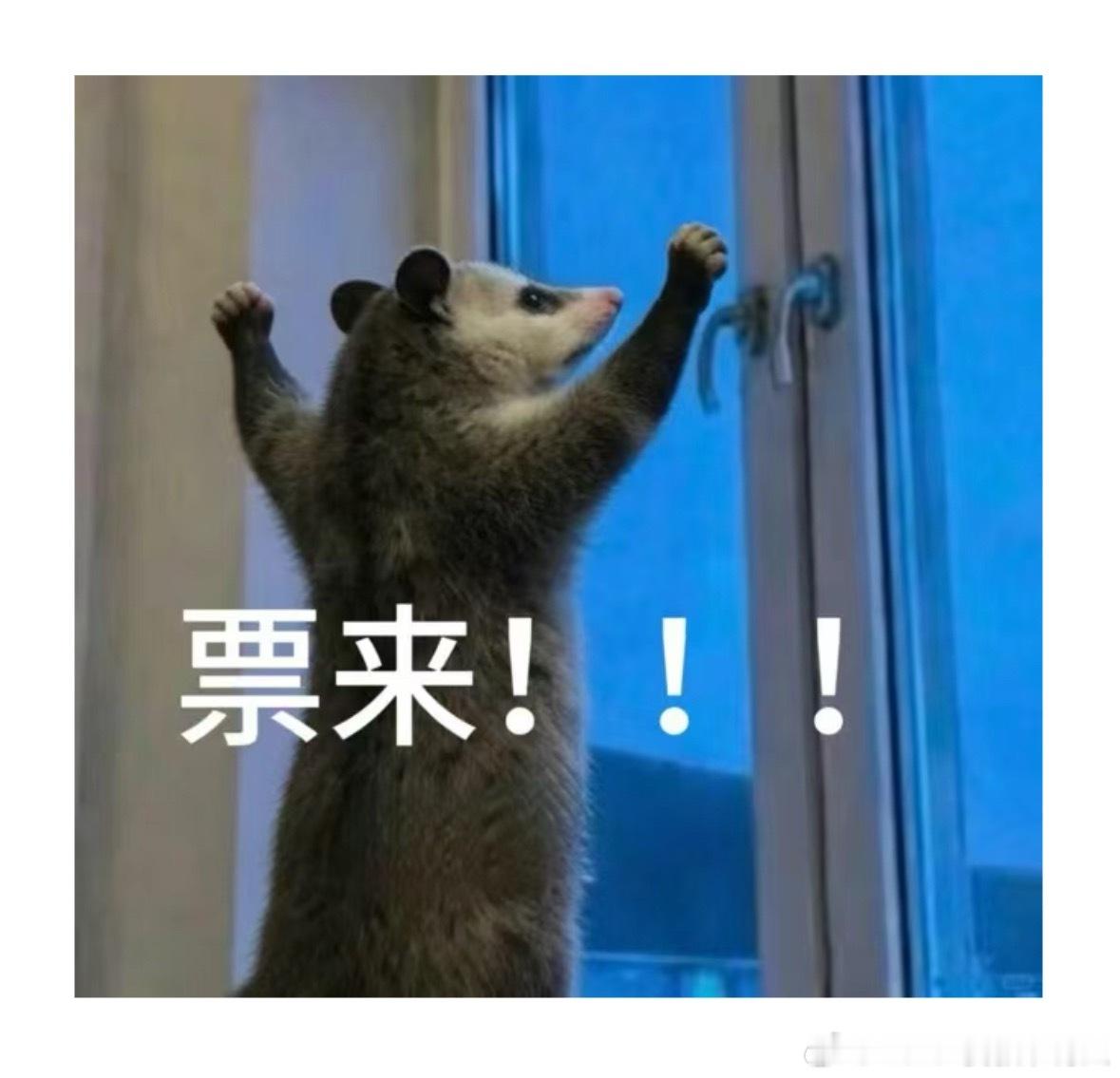 蔡徐坤马来西亚音乐节压轴⬇️
