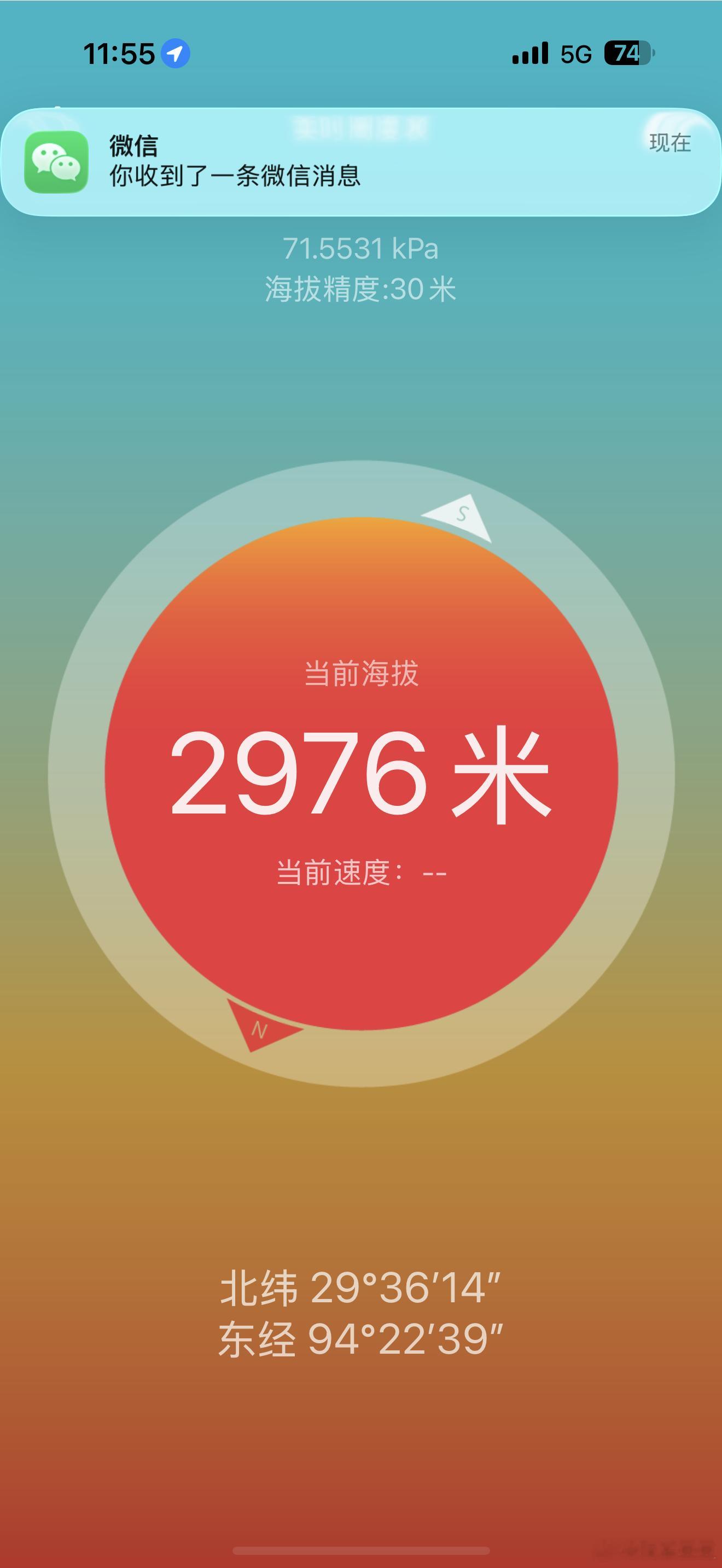 今日午餐。3000米海拔的走地鸡！我姐妹太会找酒店🏨了美食+环境好+服务好，推