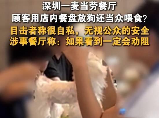 🐶狗进麦当劳后，对当事人处罚了吗？6月14日，深圳福田四川大厦麦当劳，一对