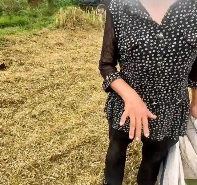 襄阳割麦后续，如今麦田没人来接活，河南小夫妻连夜返程，明年还会再来吗？麦子熟
