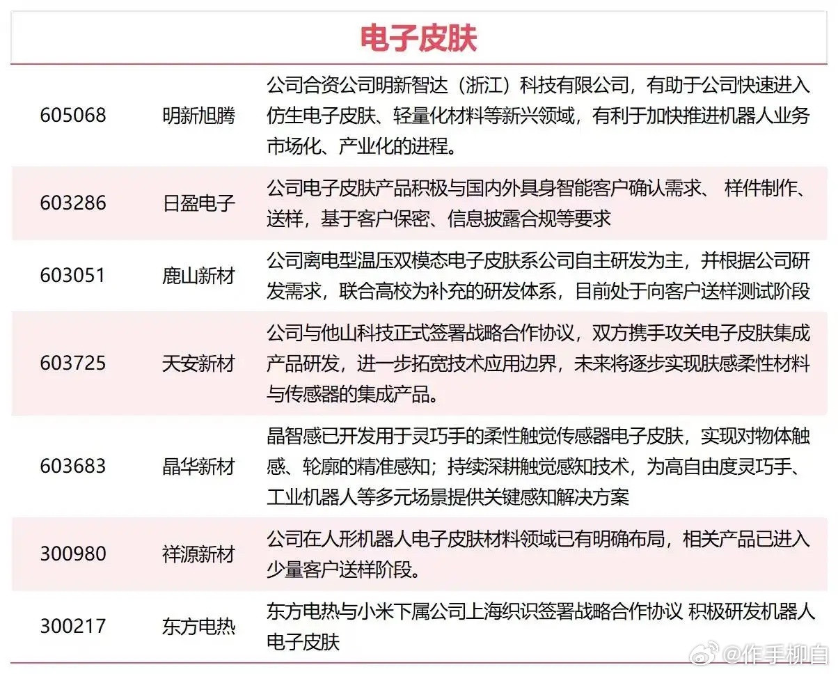电子皮肤