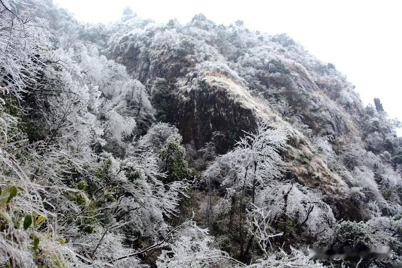 大范围雨雪将至多地发布停课通知这天气真是说变就变！中央气象台都三预警齐发了，