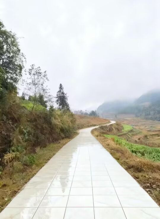 这就是竞选村长的底气