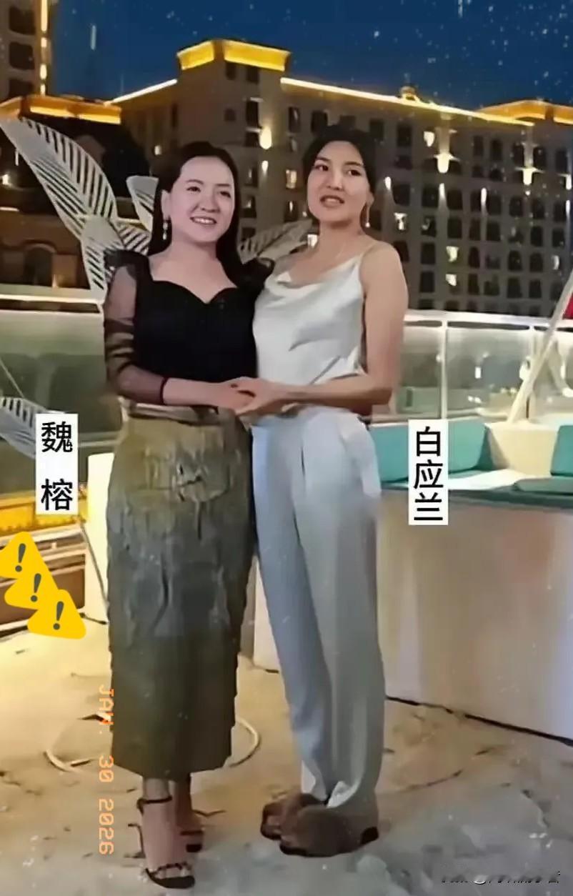 白家和魏家，缅北双煞：慈善名媛外衣下的罪恶头目。白应兰和魏榕，一个是被誉