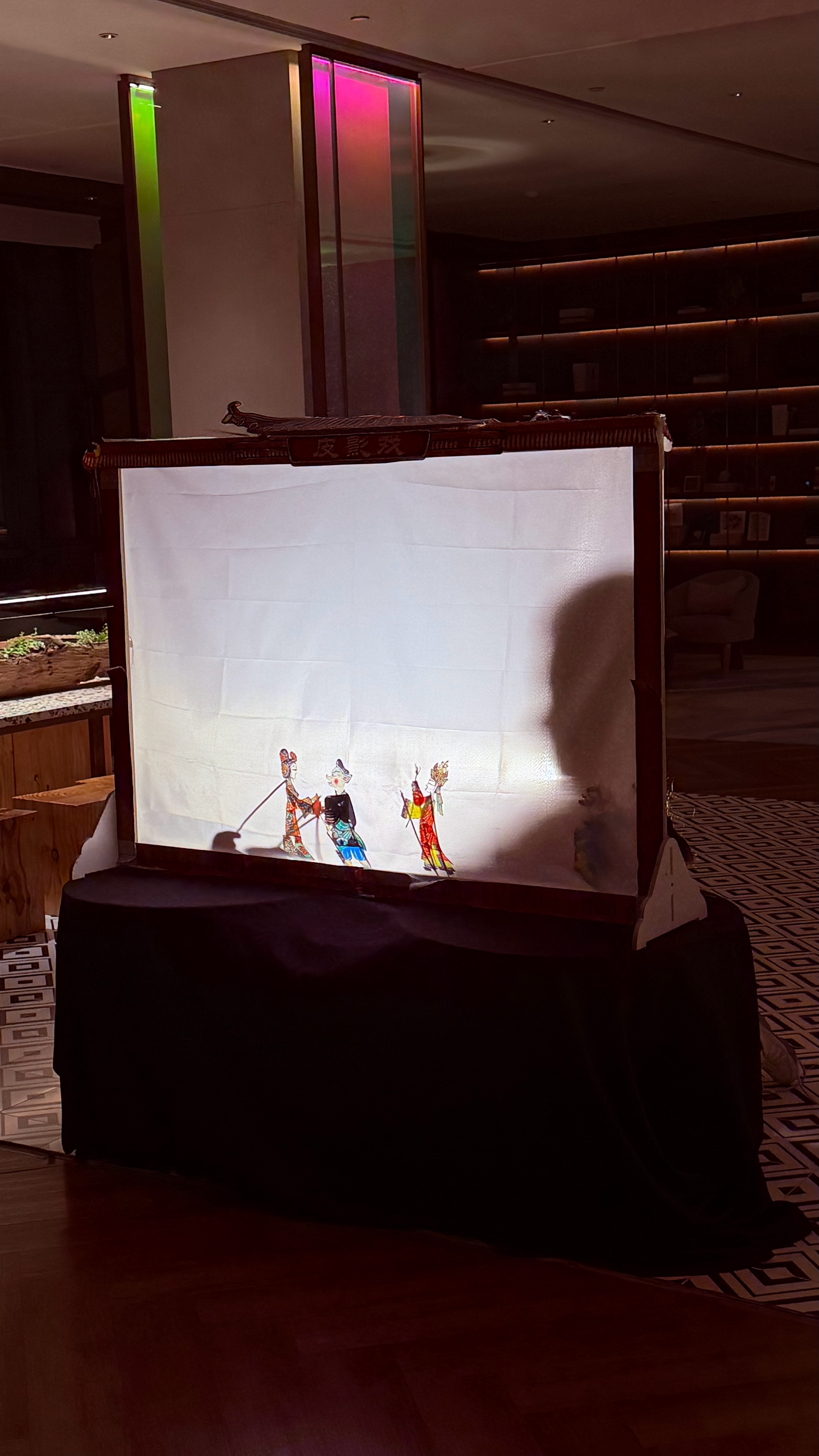 皮影戏！要传承下去！小朋友们很喜欢！​​​