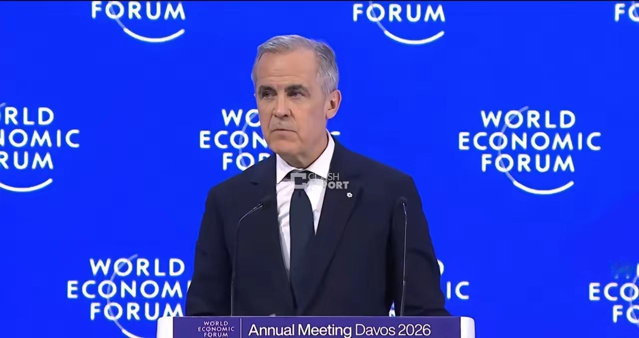 加拿大总理激烈发言：旧秩序不会再回来了，中等强国必须自保“强国可以选择单打独斗