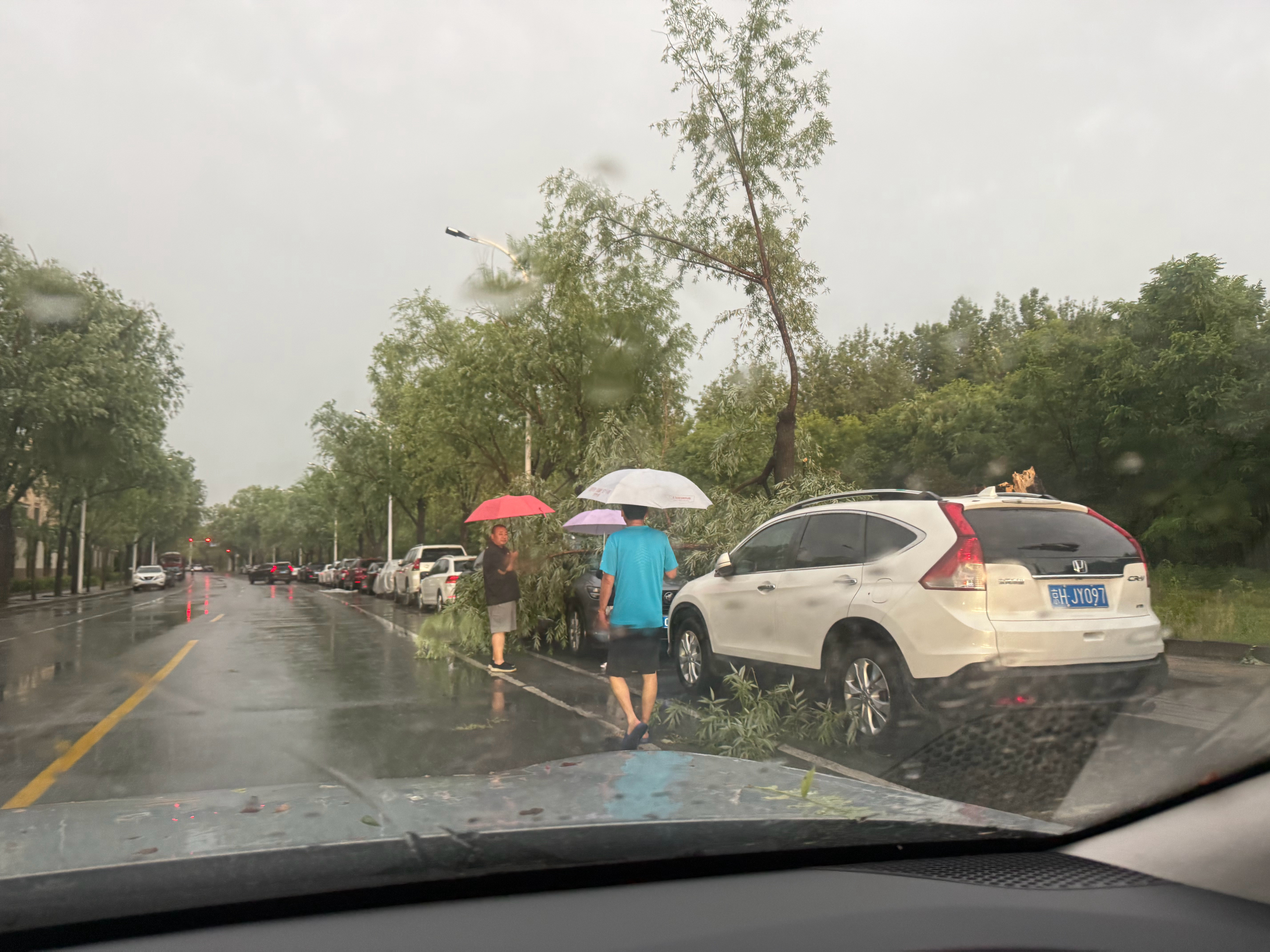 刚才这狂风暴雨太夸张了，这么粗的树都给刮折了，被树砸的车保险赔吗？