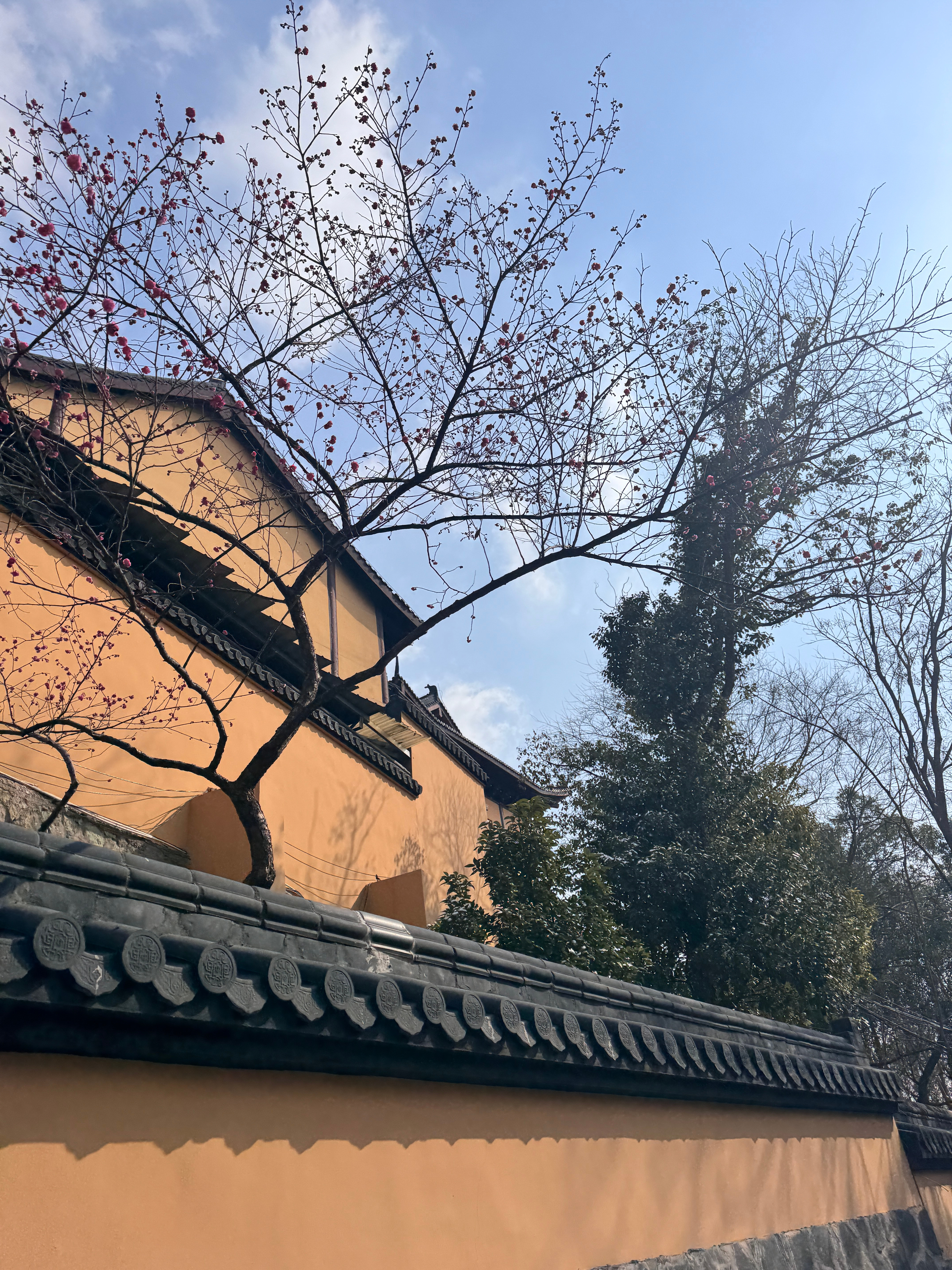 今天第一次吃到斋饭