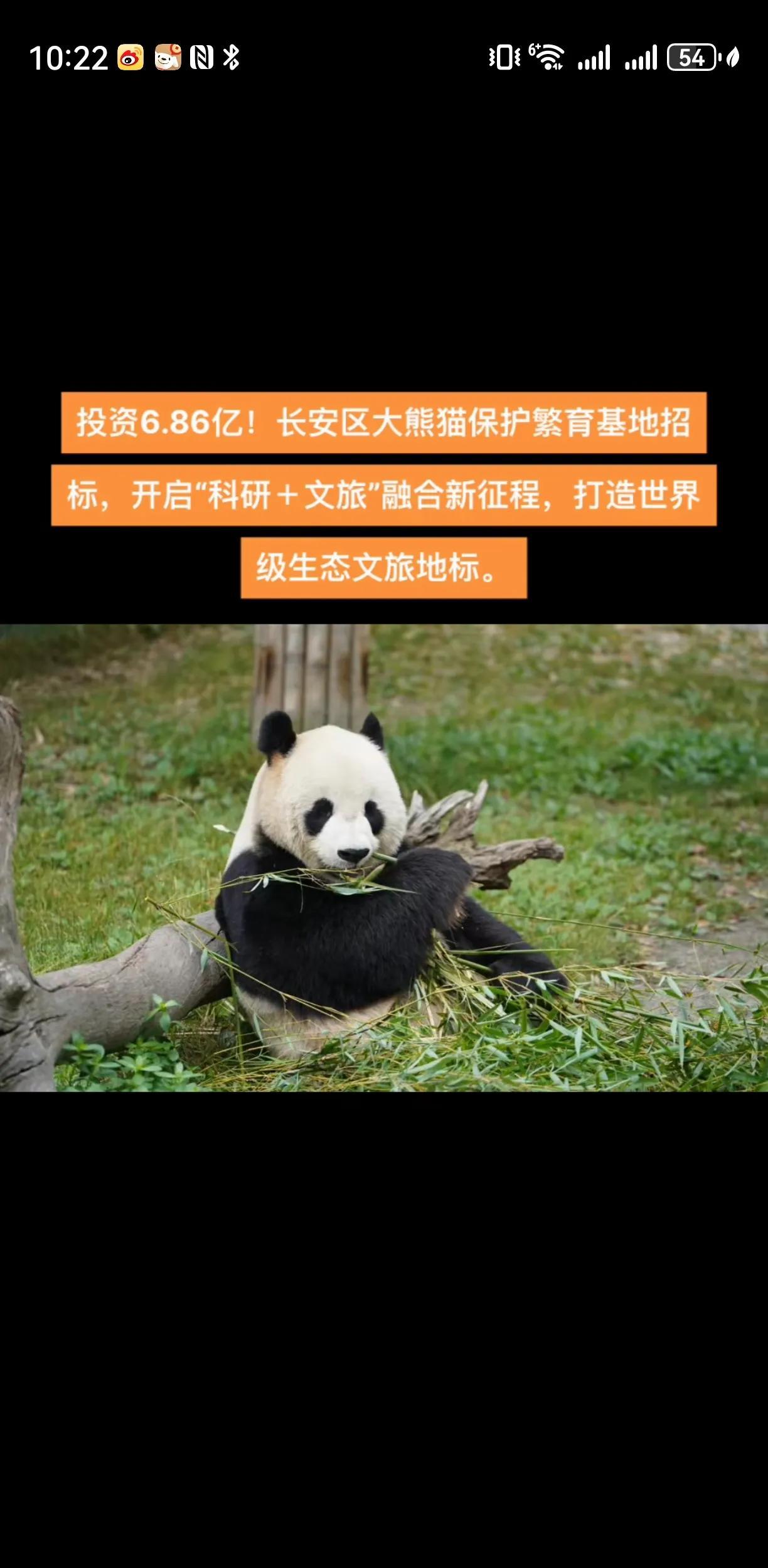 西安听说要在长安区秦岭山脚下秦岭野生动物园旁边再盖一个秦岭大熊猫科学公园。喊了好