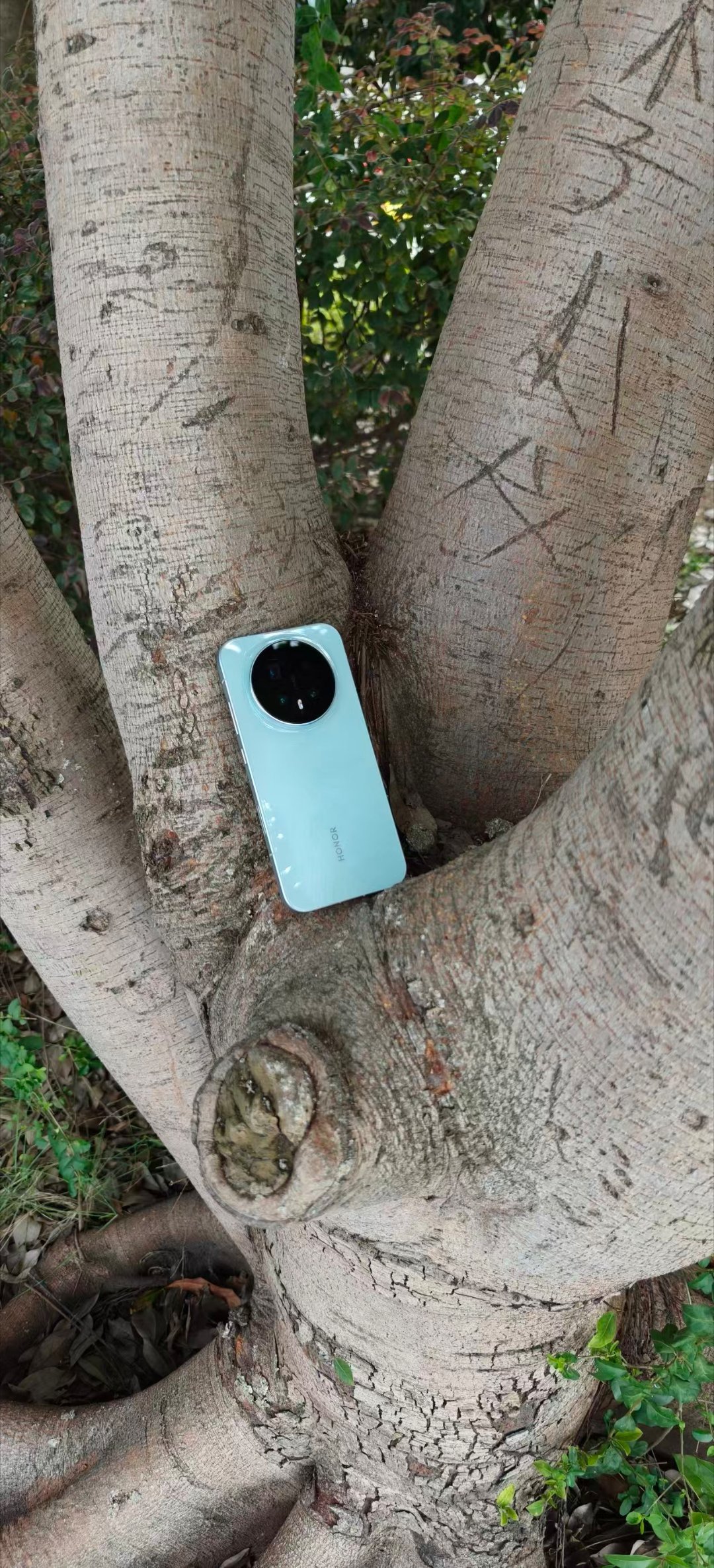 艺术与美诠释，来一组野生荣耀Magic8图，天青釉婉如大自然的色彩。美不胜收。有